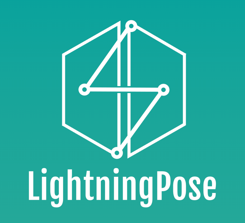 lightningpose.com